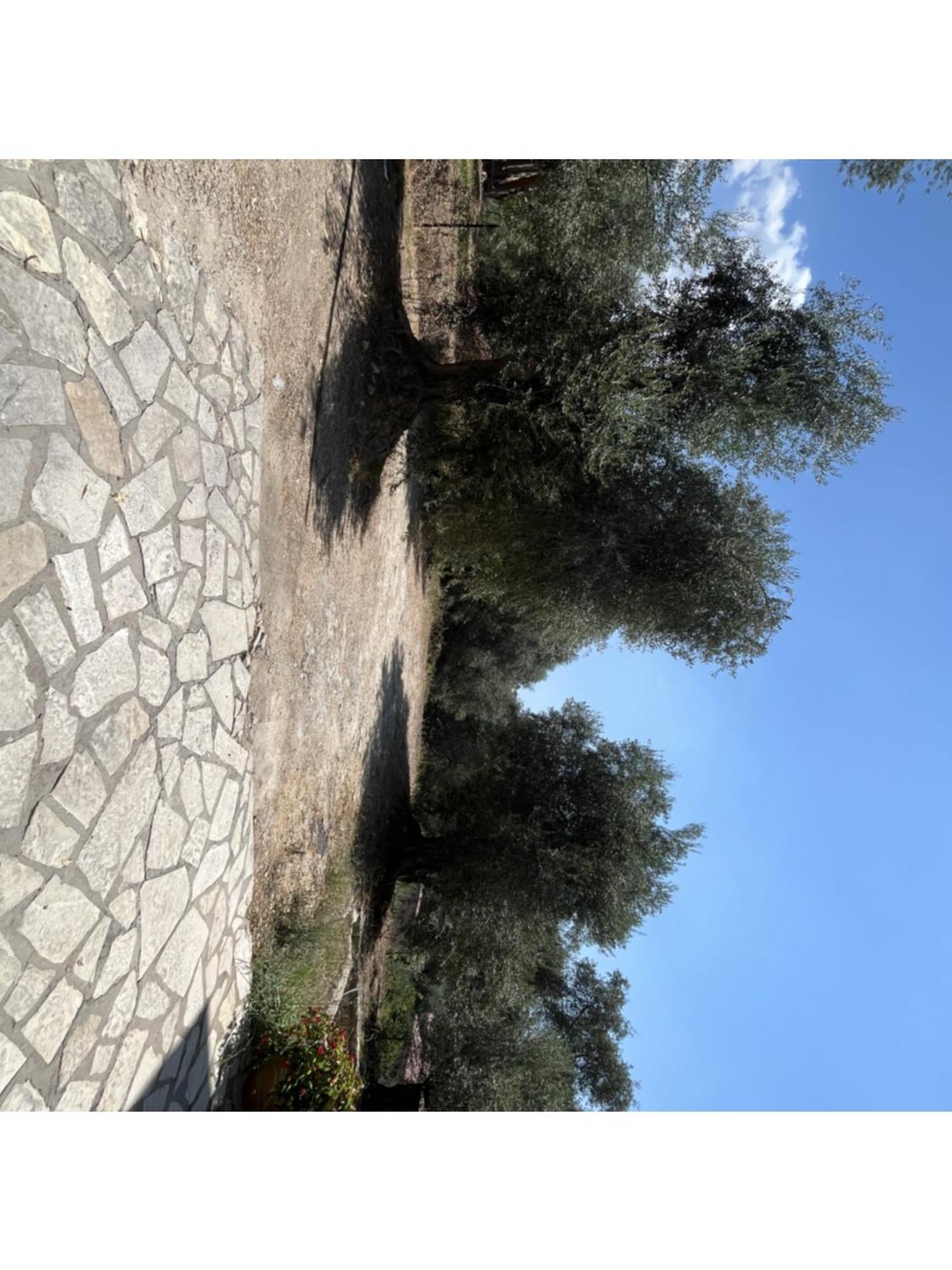 Meltemi Apartment Parga Bagian luar foto